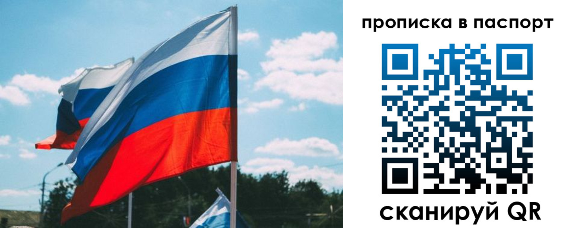 найти адрес прописки в Александрове